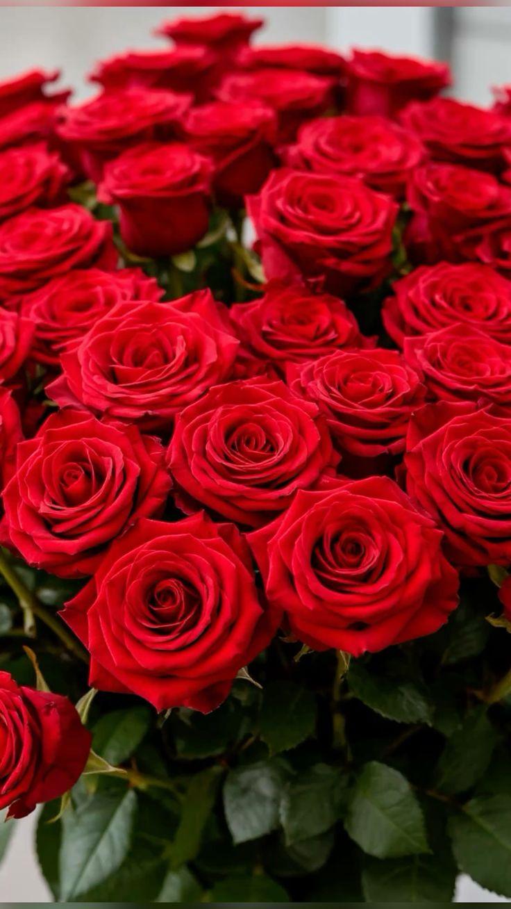 Xelora Pantheos workshop space where corporate flower arrangements are designed and prepared for business delivery